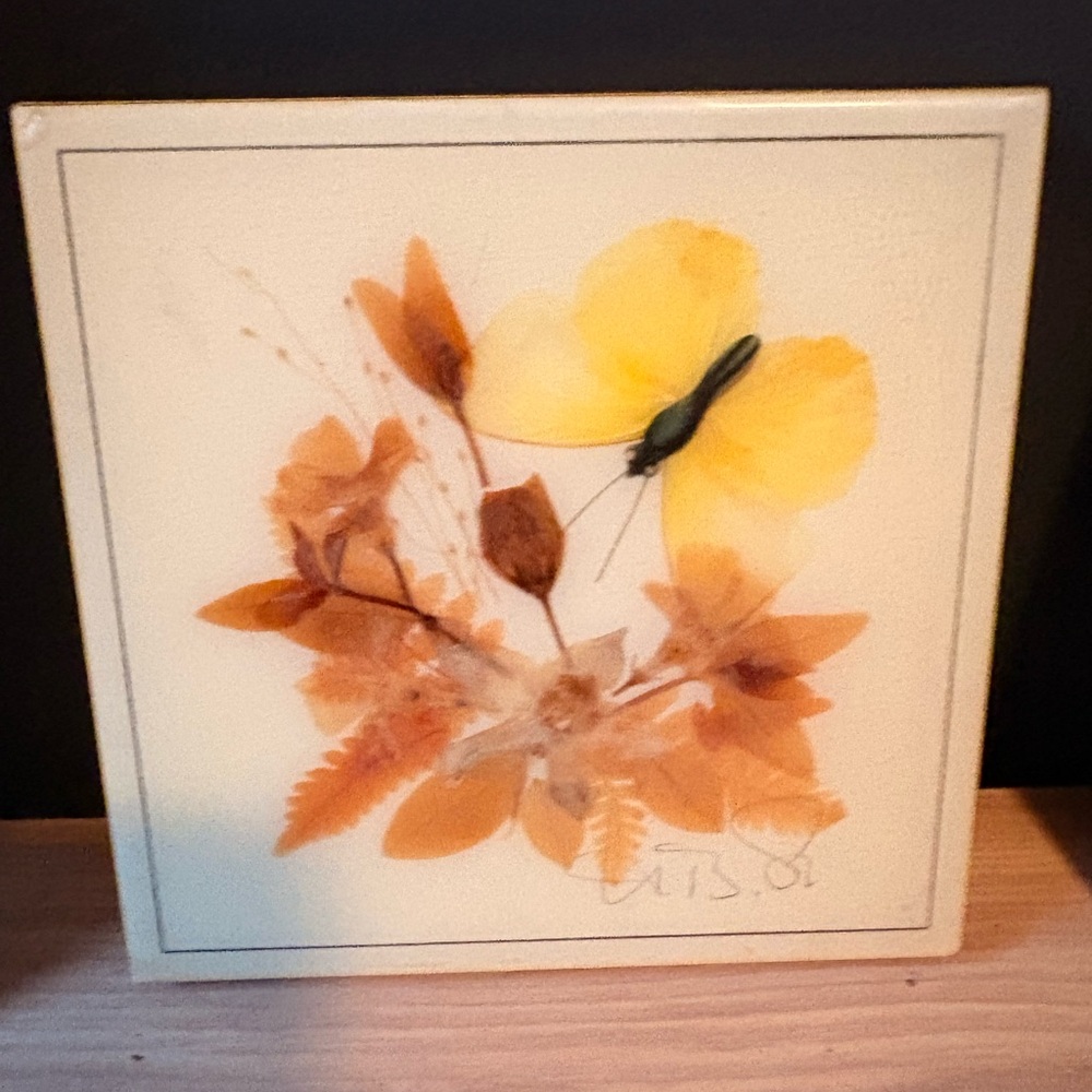 Set of 3 Vintage Framed Botanical Wall Plaque - Cream - Picture 2 of 11